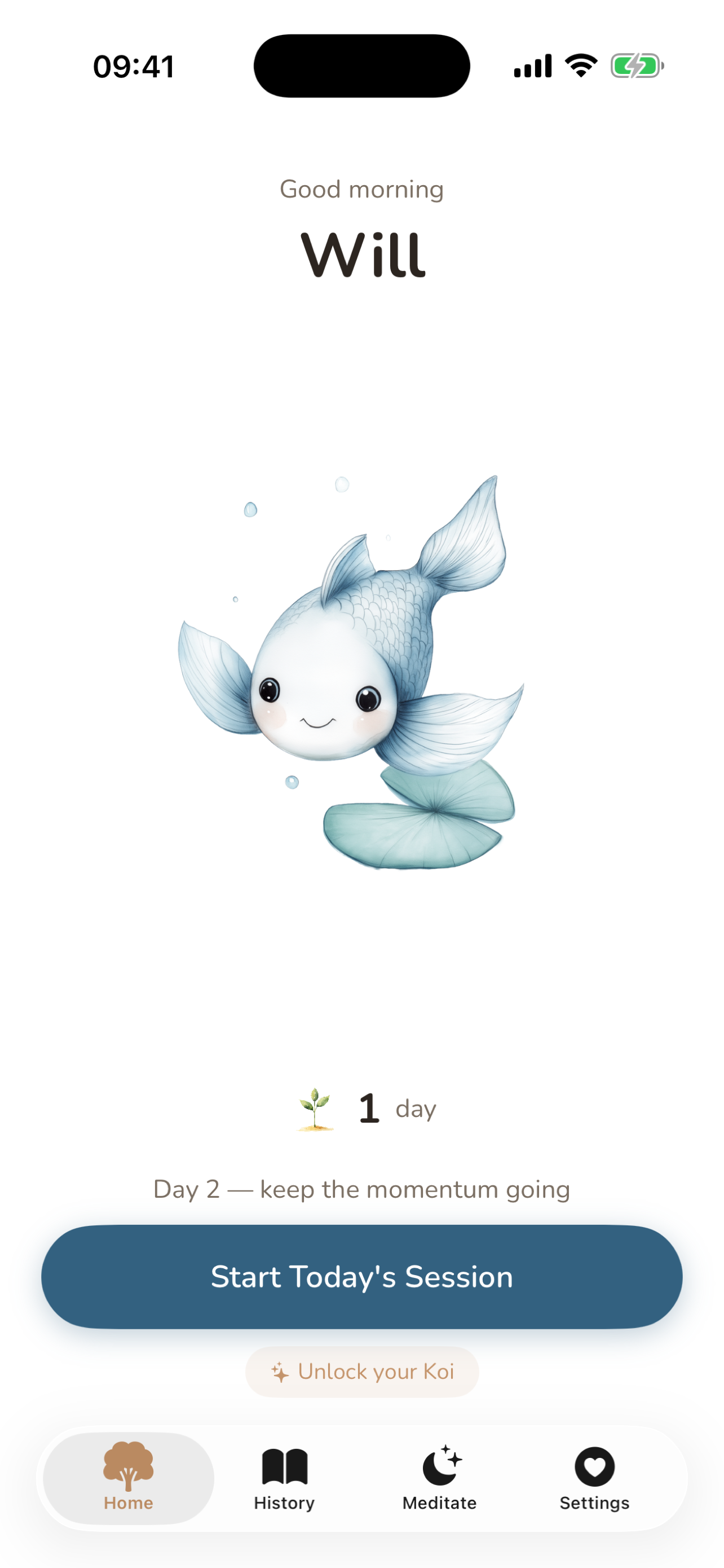 Home screen with companion